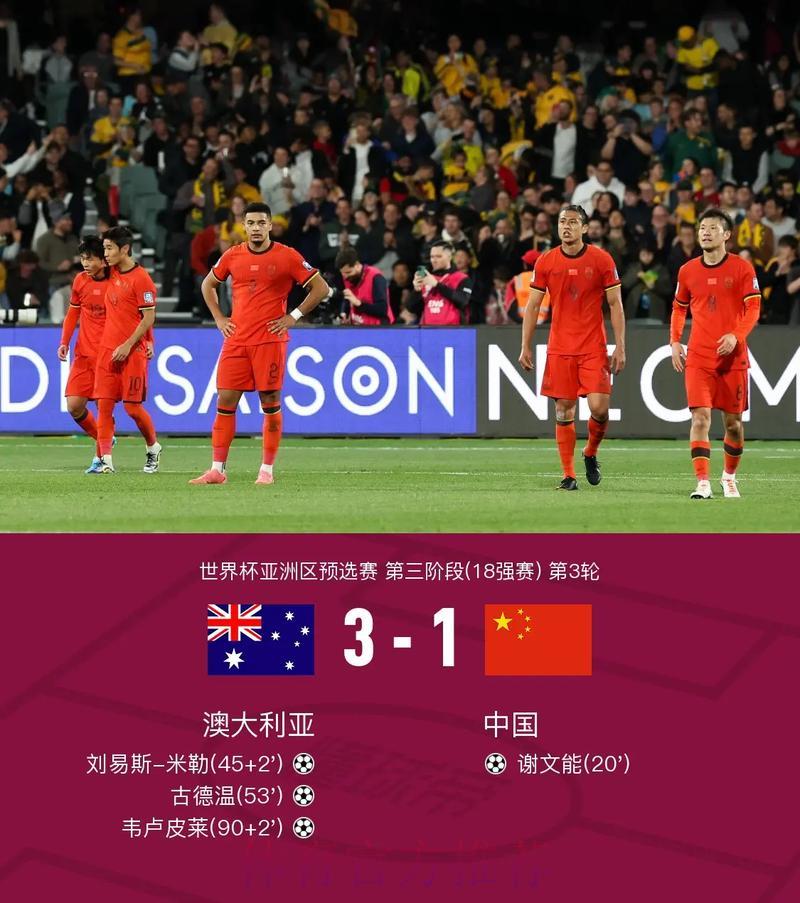 世界杯实时比分播报，精彩对决一场不落